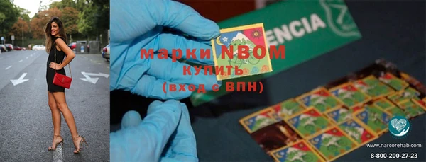 ешки Аркадак