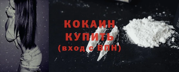 ешки Аркадак