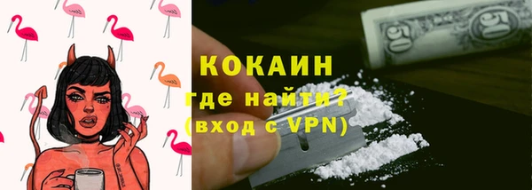 ПСИЛОЦИБИНОВЫЕ ГРИБЫ Арсеньев