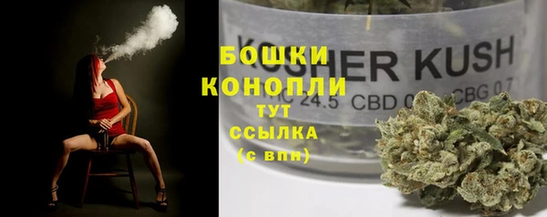 ПСИЛОЦИБИНОВЫЕ ГРИБЫ Арсеньев