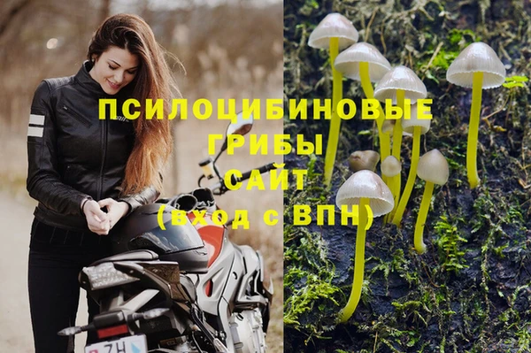 ПСИЛОЦИБИНОВЫЕ ГРИБЫ Арсеньев